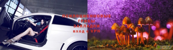 стаф Абинск