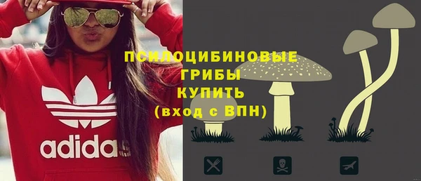 ECSTASY Абаза