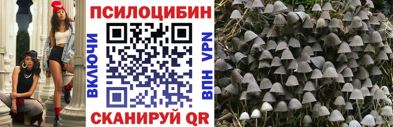 Псилоцибиновые грибы Psilocybe  Добрянка 